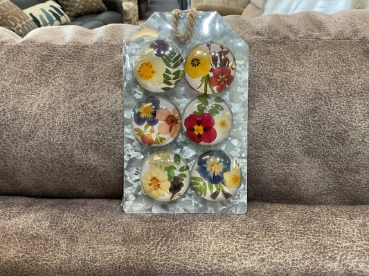 Faux Pressed Flower Magnet (6pc set) by Ganz CB196336