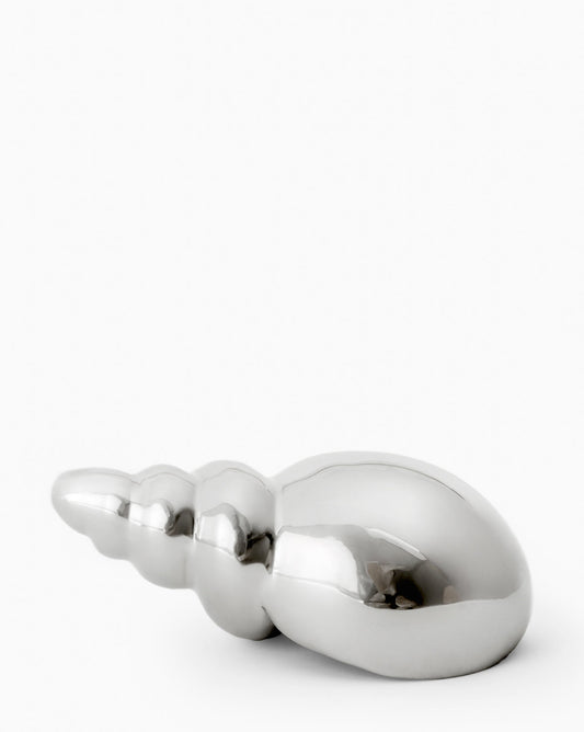 Tulip Shell